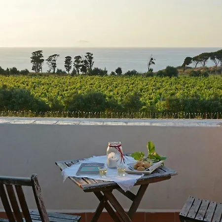 فيلة Tenuta Rasocolmo *