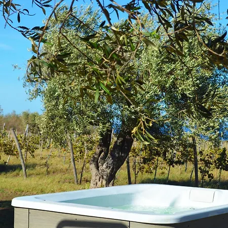 Tenuta Rasocolmo مسينا
