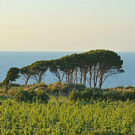 Tenuta Rasocolmo فيلة *