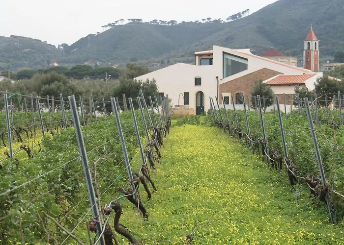 Villa Tenuta Rasocolmo *