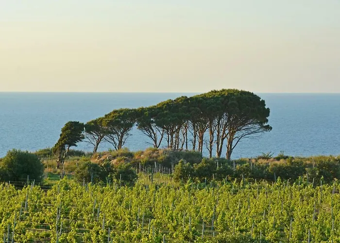 Tenuta Rasocolmo Villa *